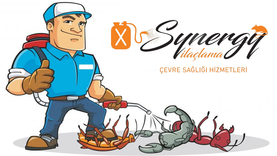 İstanbul İlaçlama - Profesyonel İlaçlama Firması