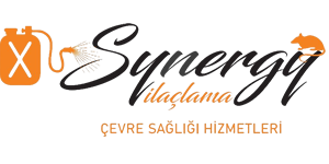 İstanbul İlaçlama - Profesyonel İlaçlama Firması